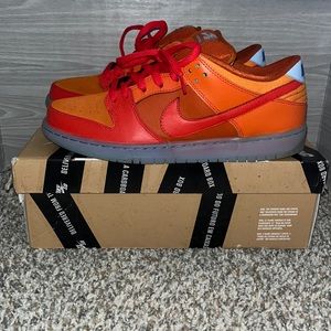Nike dunk pro sb Gamma orange